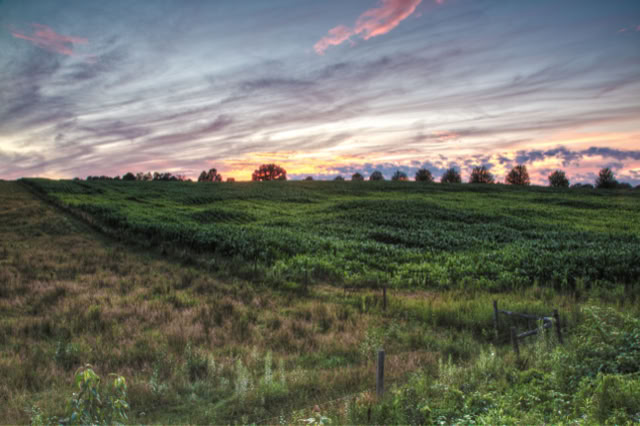 Cinematic sunset landscape by Back to Dust Studios: High-end visual storytelling and b-roll for brand films.